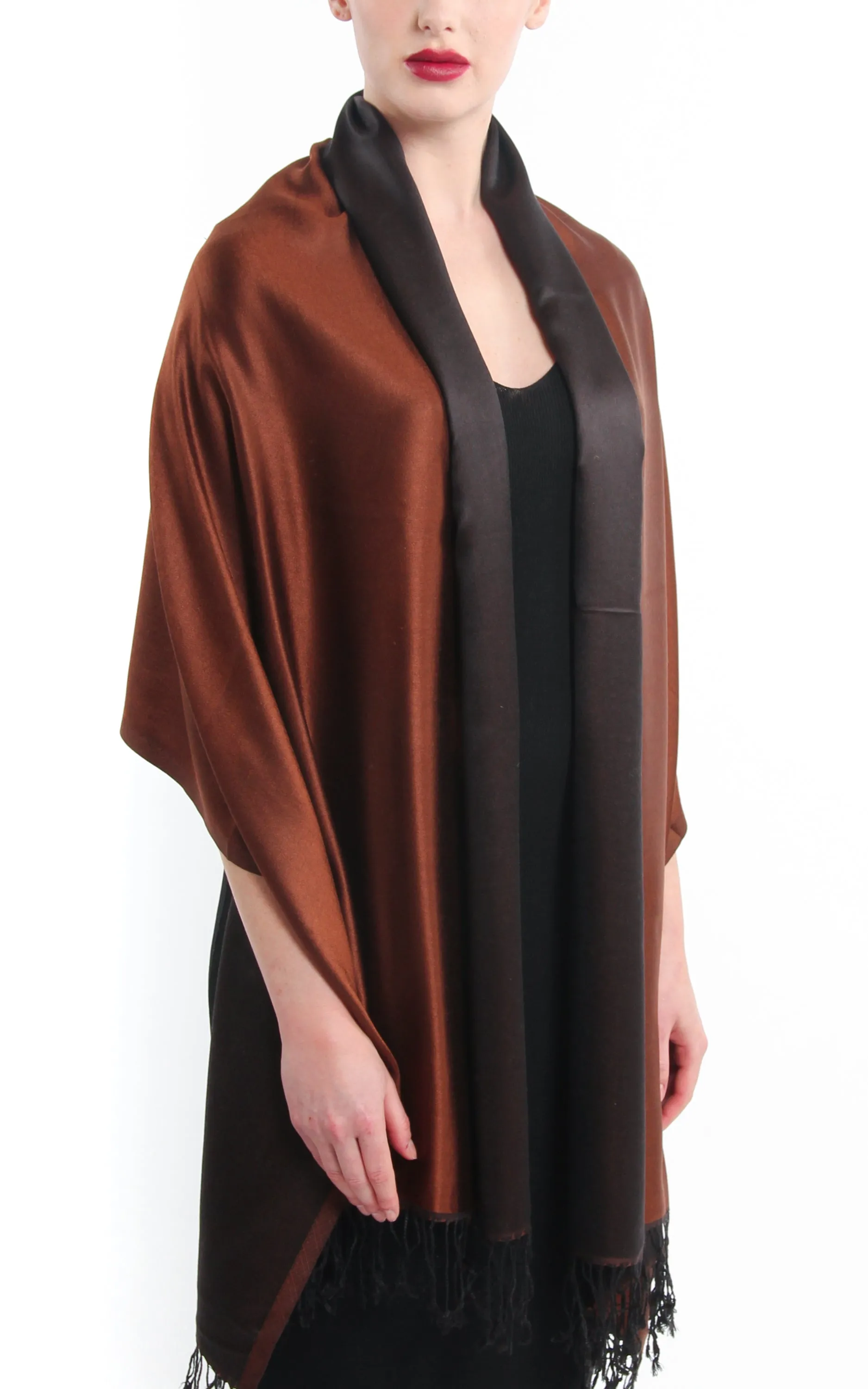 Carly Brown Silk Pashmina - TTL210