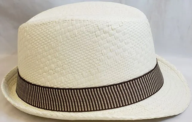 Spiros -- Paper Straw Fedora