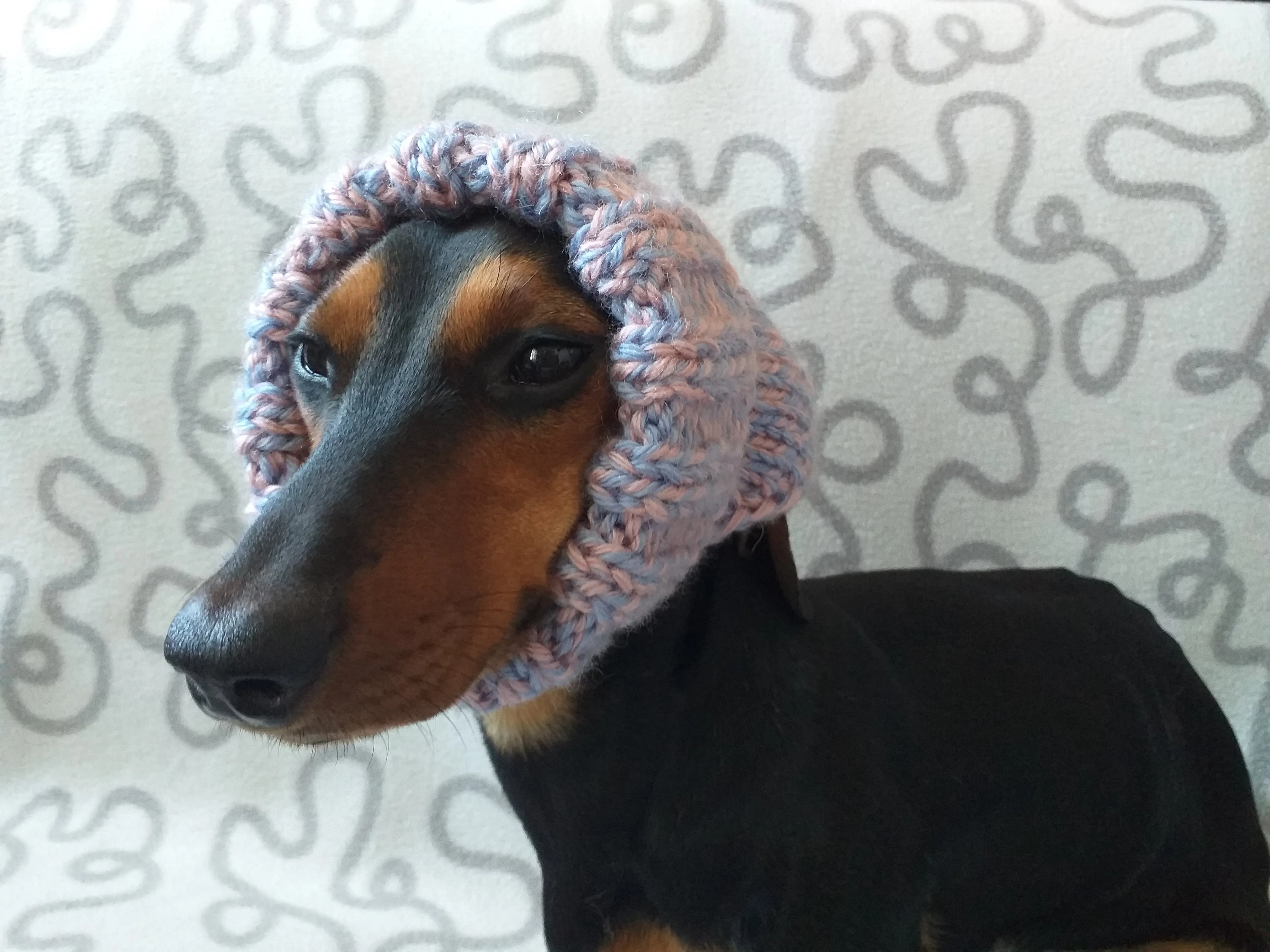 Universal dog clothes hat, bandana, scarf with pompom